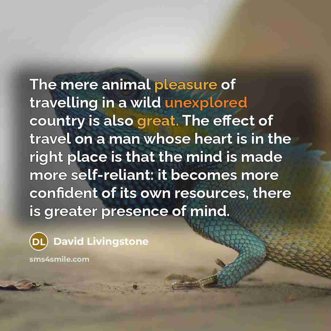 “The mere animal pleasure of travelling in a wild unexplored…” quote by David Livingstone