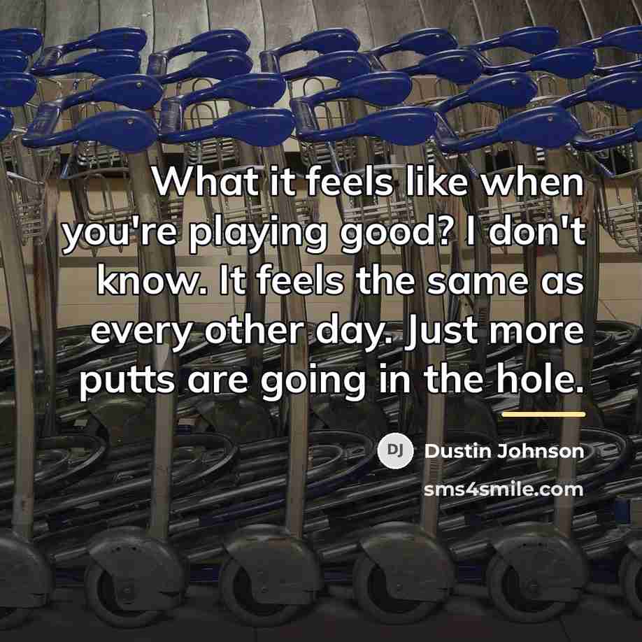 “What it feels like when you're playing good? I don't…” quote by Dustin Johnson