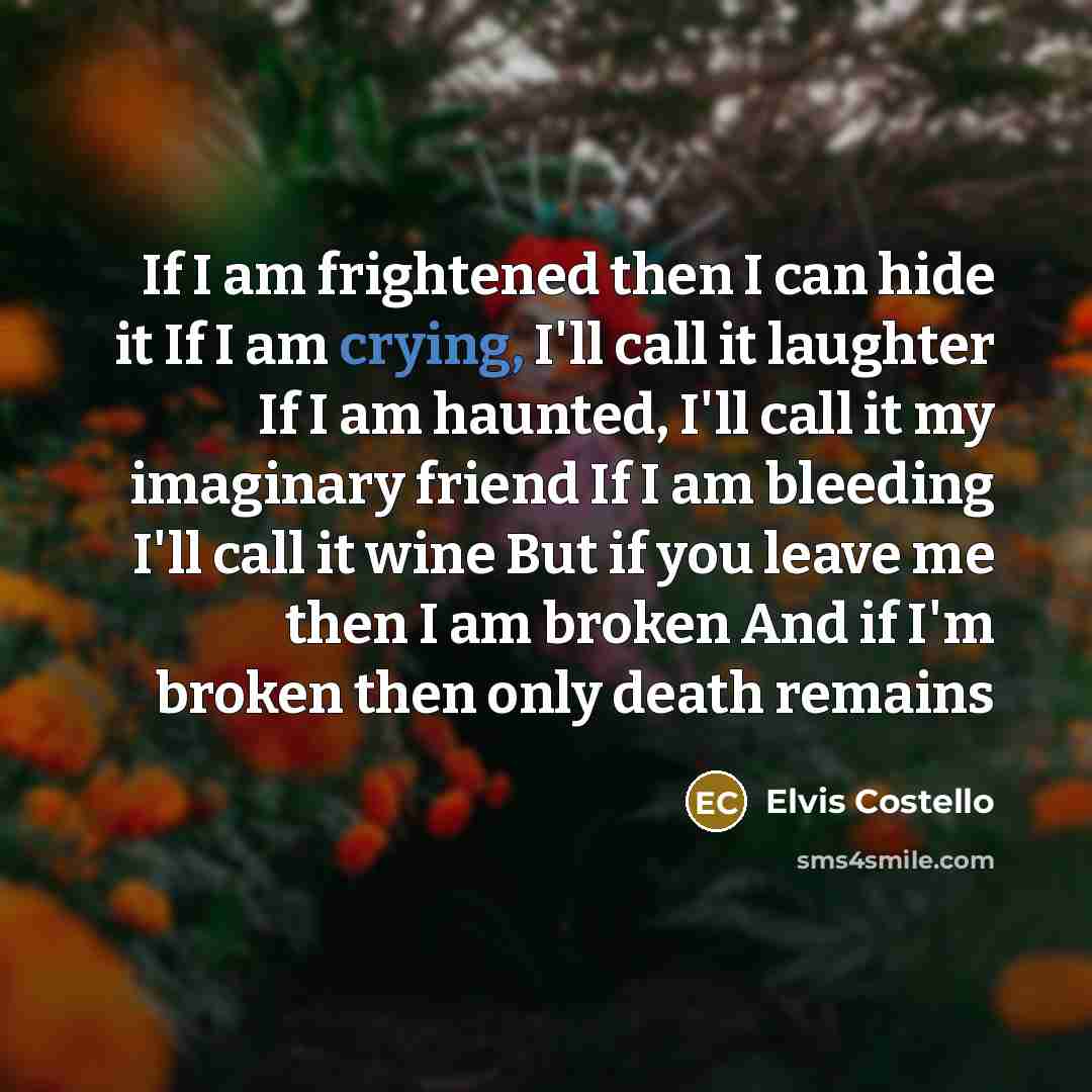 “If I am frightened then I can hide it If…” quote by Elvis Costello