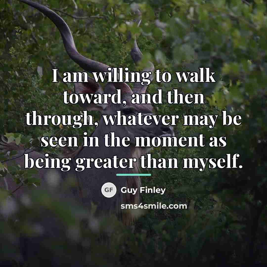 “I am willing to walk toward, and then through, whatever…” quote by Guy Finley