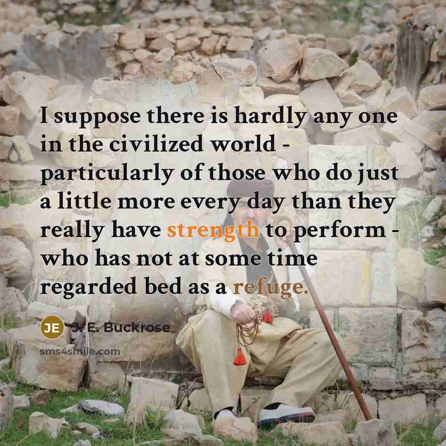 “I suppose there is hardly any one in the civilized…” quote by J. E. Buckrose