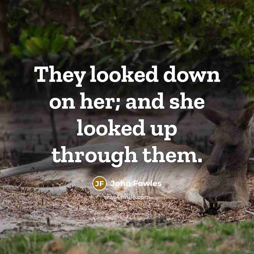 “They looked down on her; and she looked up through…” quote by John Fowles