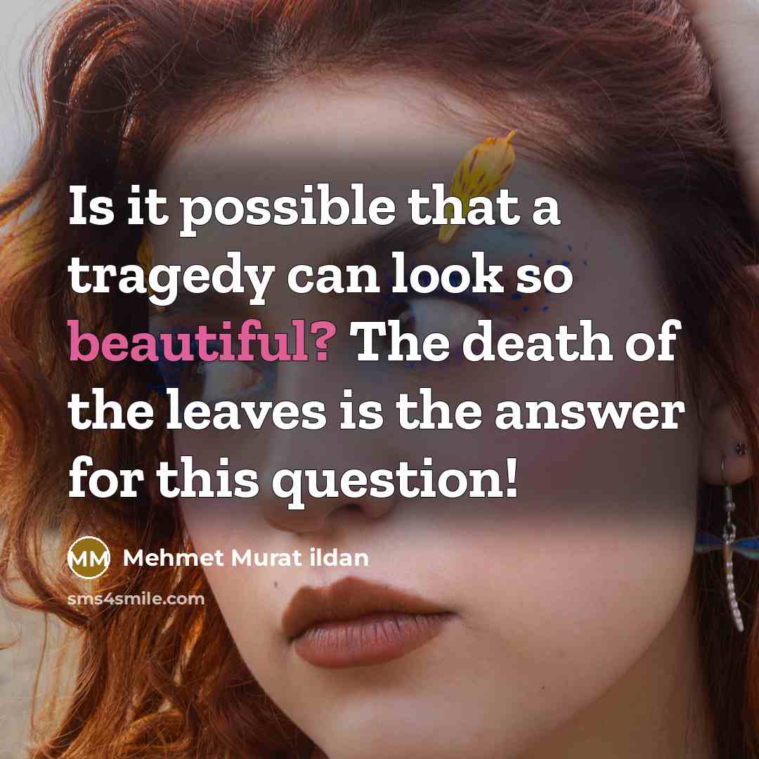 “Is it possible that a tragedy can look so beautiful?…” quote by Mehmet Murat Ildan