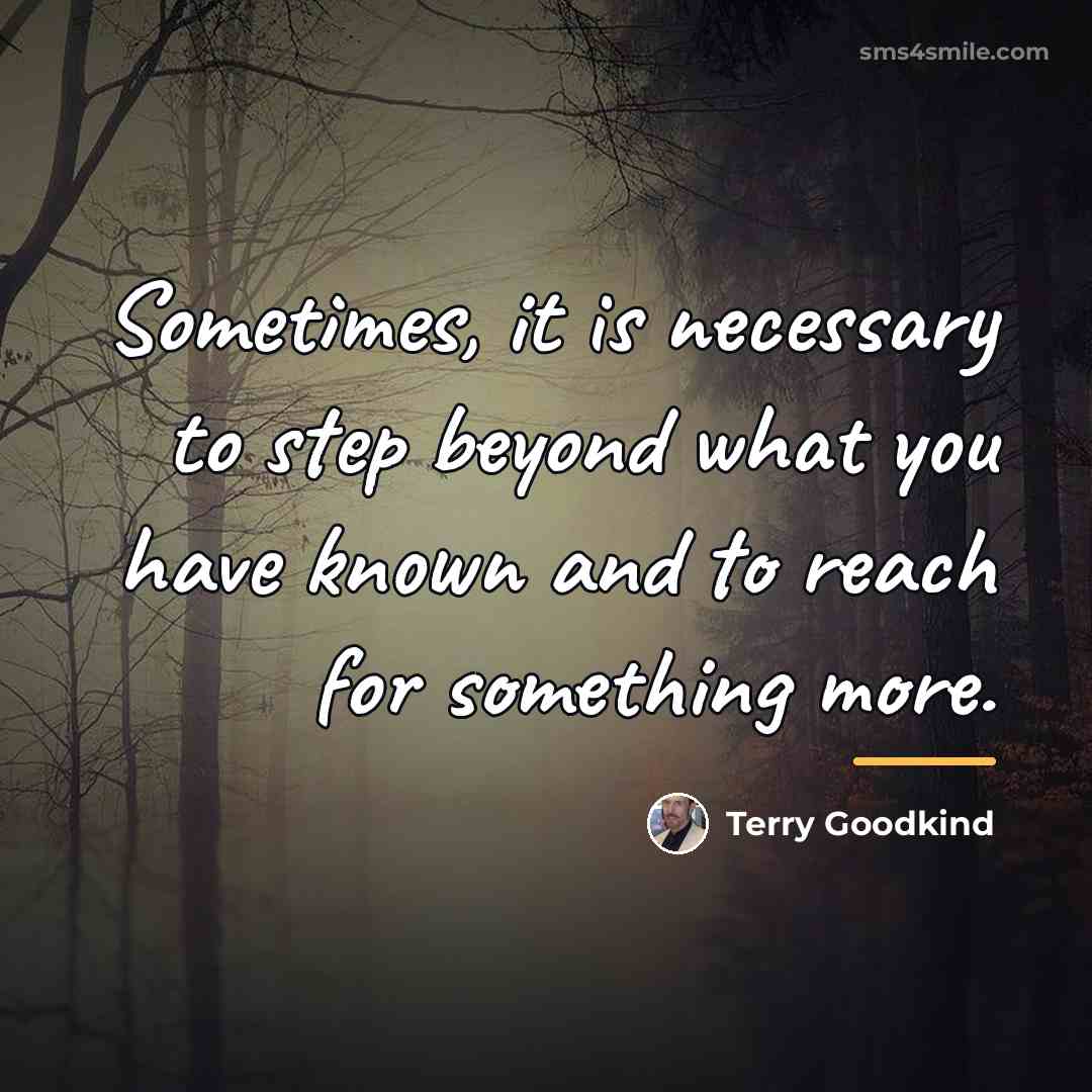 “Sometimes, it is necessary to step beyond what you have…” quote by Terry Goodkind