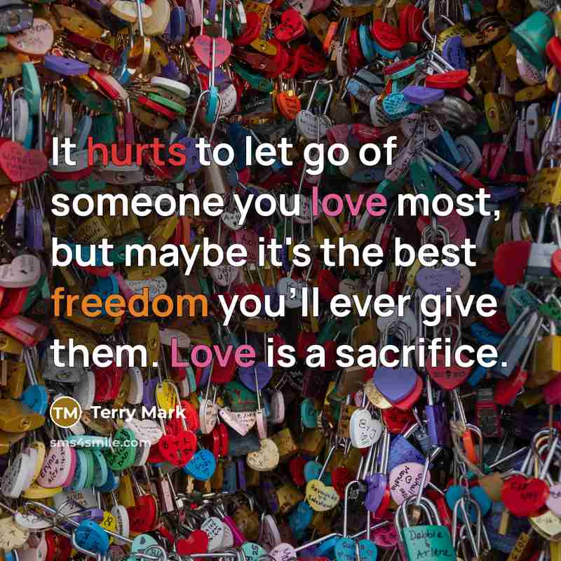 “It hurts to let go of someone you love most,…” quote by Terry Mark
