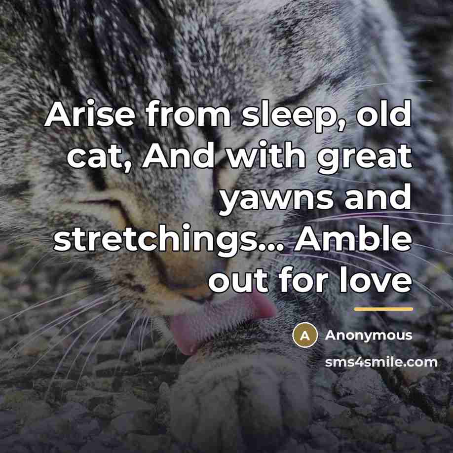 “Arise from sleep, old cat, And with great yawns and…” quote by Anonymous