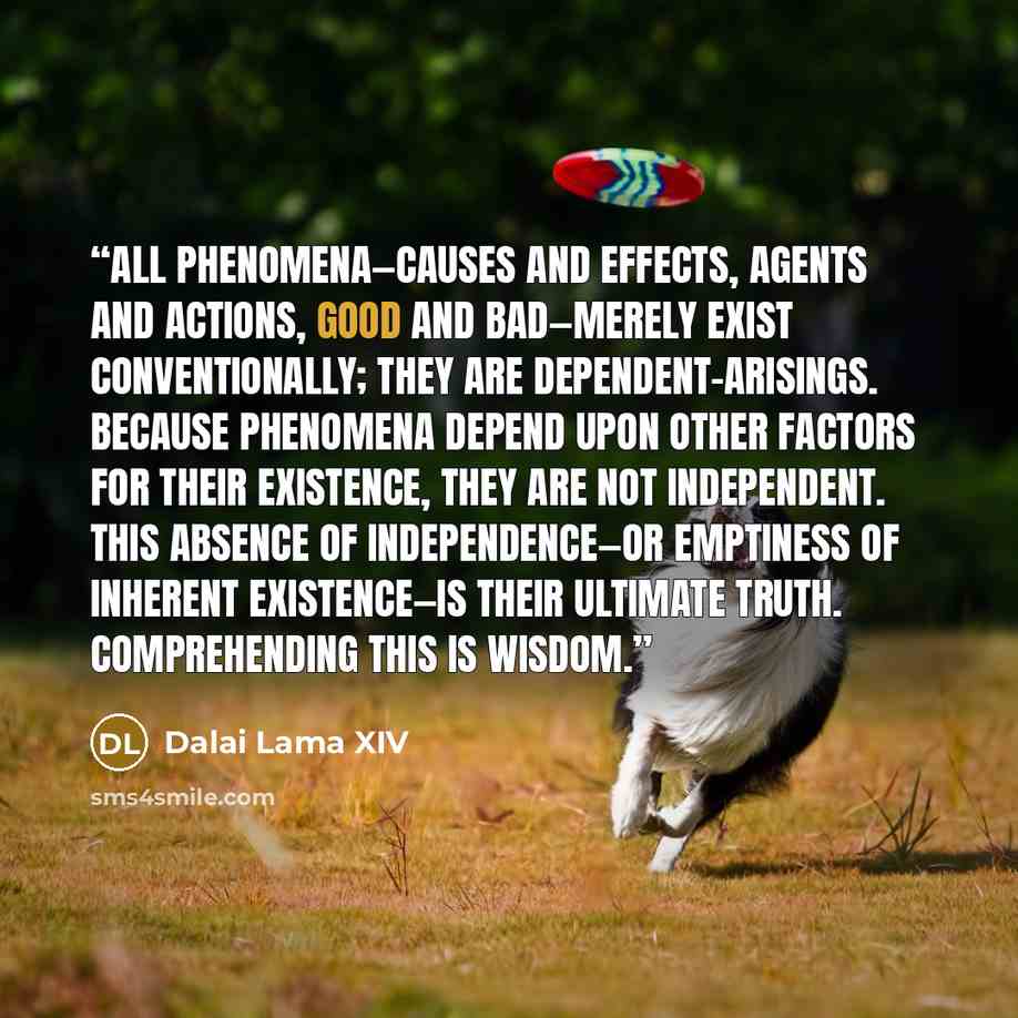 “All phenomena—causes and effects, agents and actions, good and bad—merely exist conventionally; they are dependent-arisings. Because phenomena depend upon other factors for their existence, they are not independent. This absence of independence—or emptiness of inherent existence—is their ultimate…” quote by Dalai Lama XIV