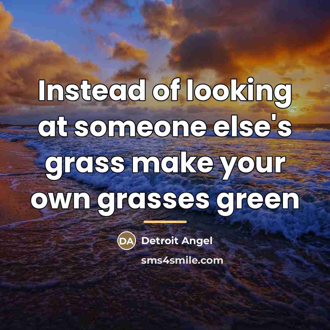 “Instead of looking at someone else's grass make your own…” quote by Detroit Angel