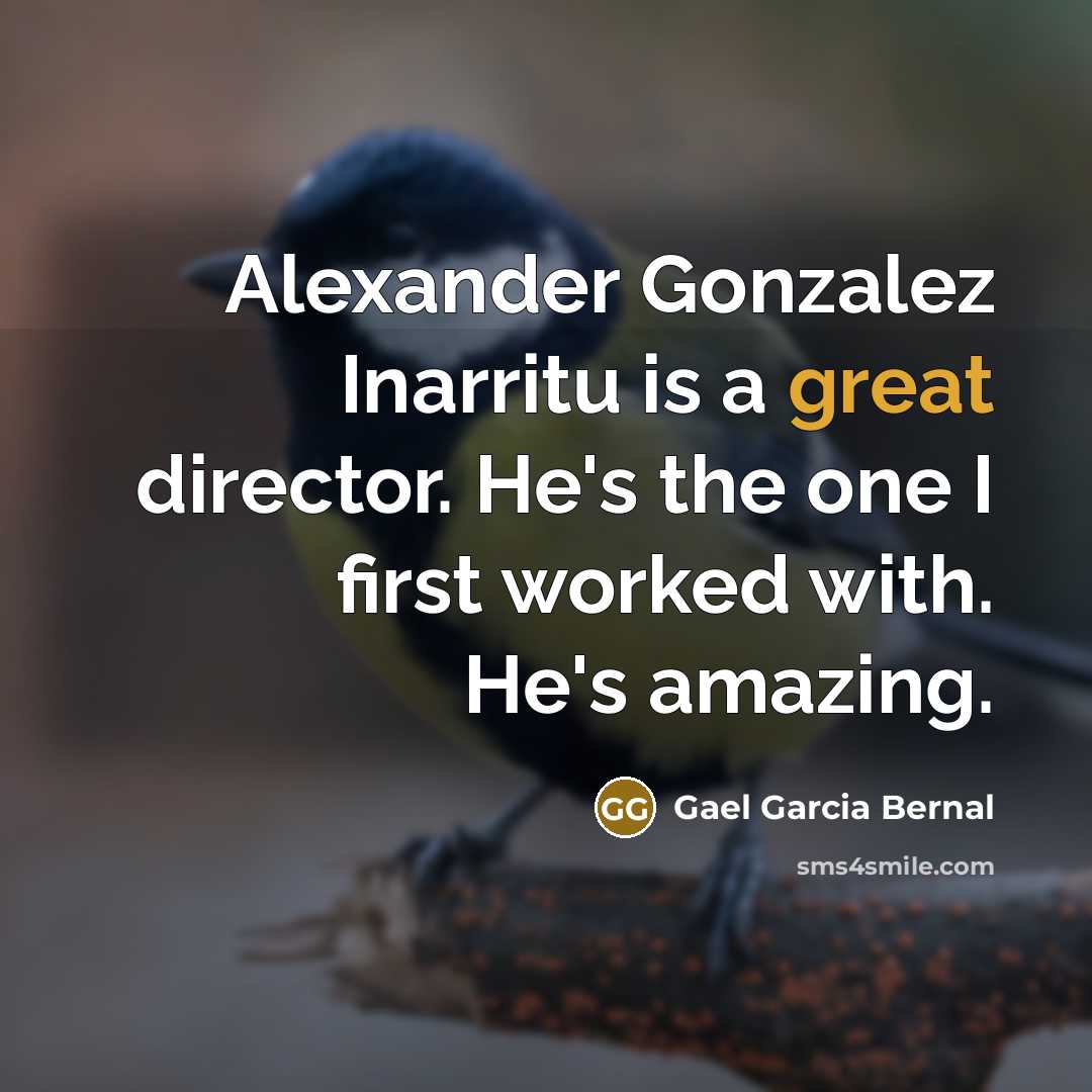 “Alexander Gonzalez Inarritu is a great director. He's the one…” quote by Gael Garcia Bernal