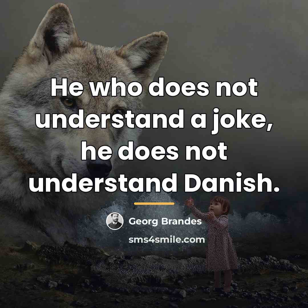“He who does not understand a joke, he does not…” quote by Georg Brandes