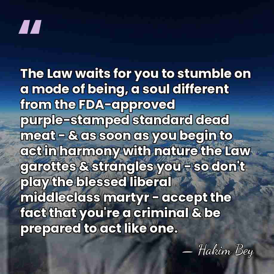 The Law waits for you to stumble on a mode of being,&hellip; - Hakim Bey