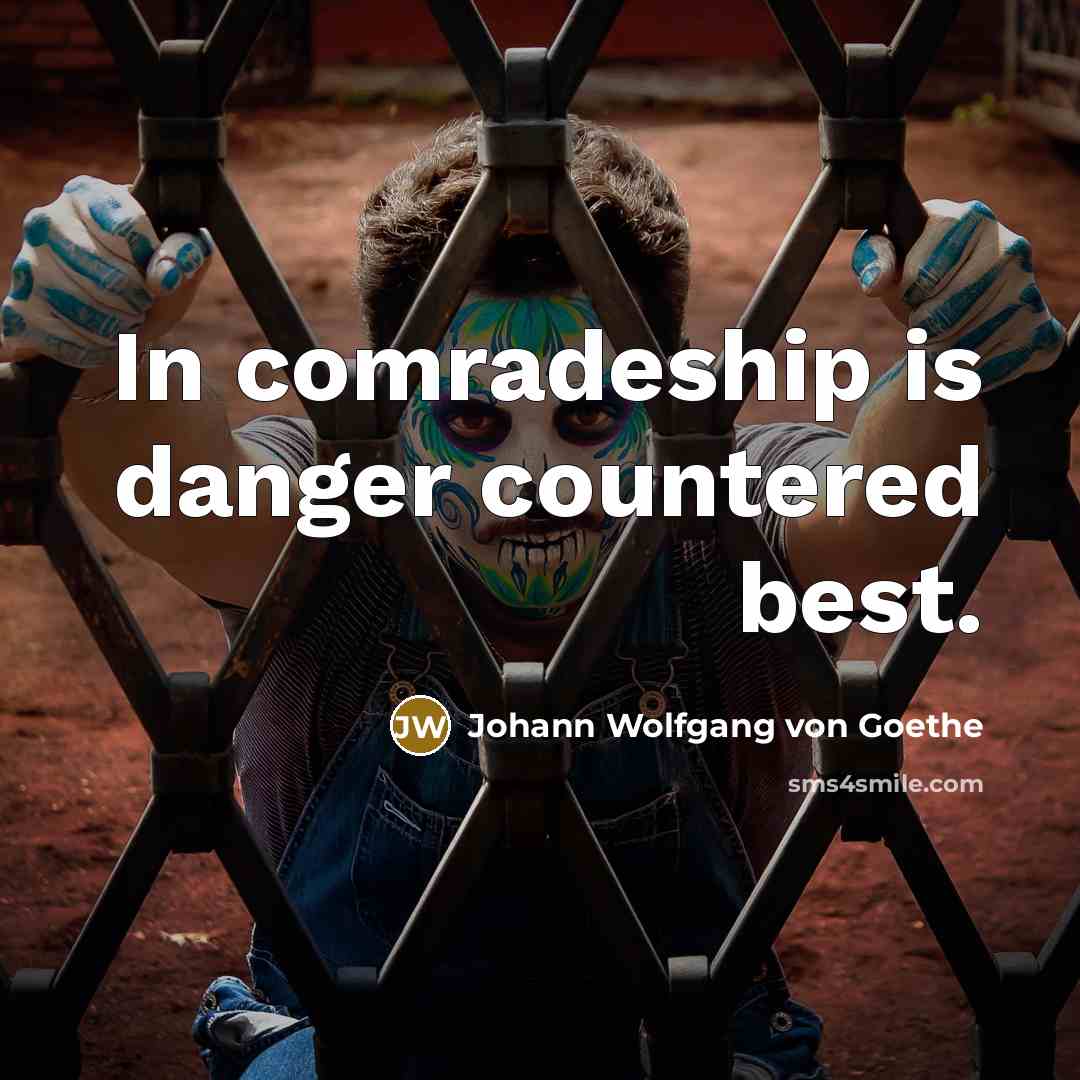 “In comradeship is danger countered best.…” quote by Johann Wolfgang von Goethe