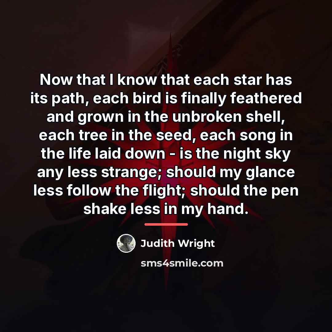 “Now that I know that each star has its path,…” quote by Judith Wright