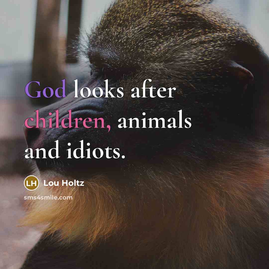 “God looks after children, animals and idiots.…” quote by Lou Holtz