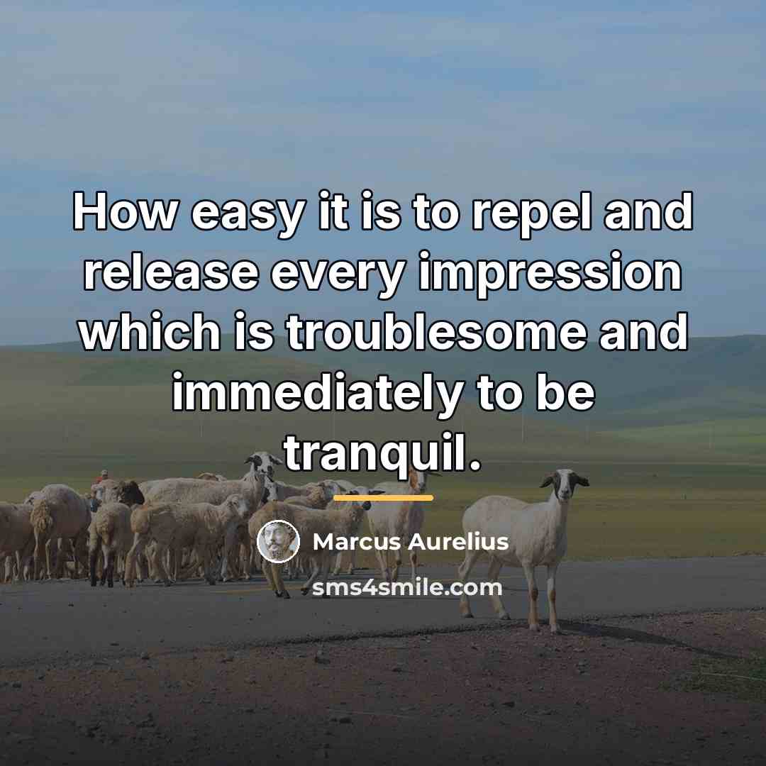 “How easy it is to repel and release every impression…” quote by Marcus Aurelius