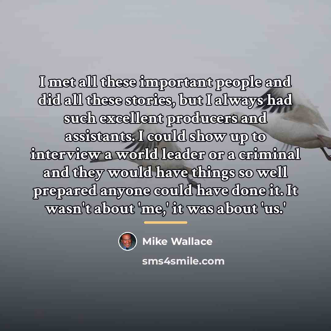 “I met all these important people and did all these…” quote by Mike Wallace