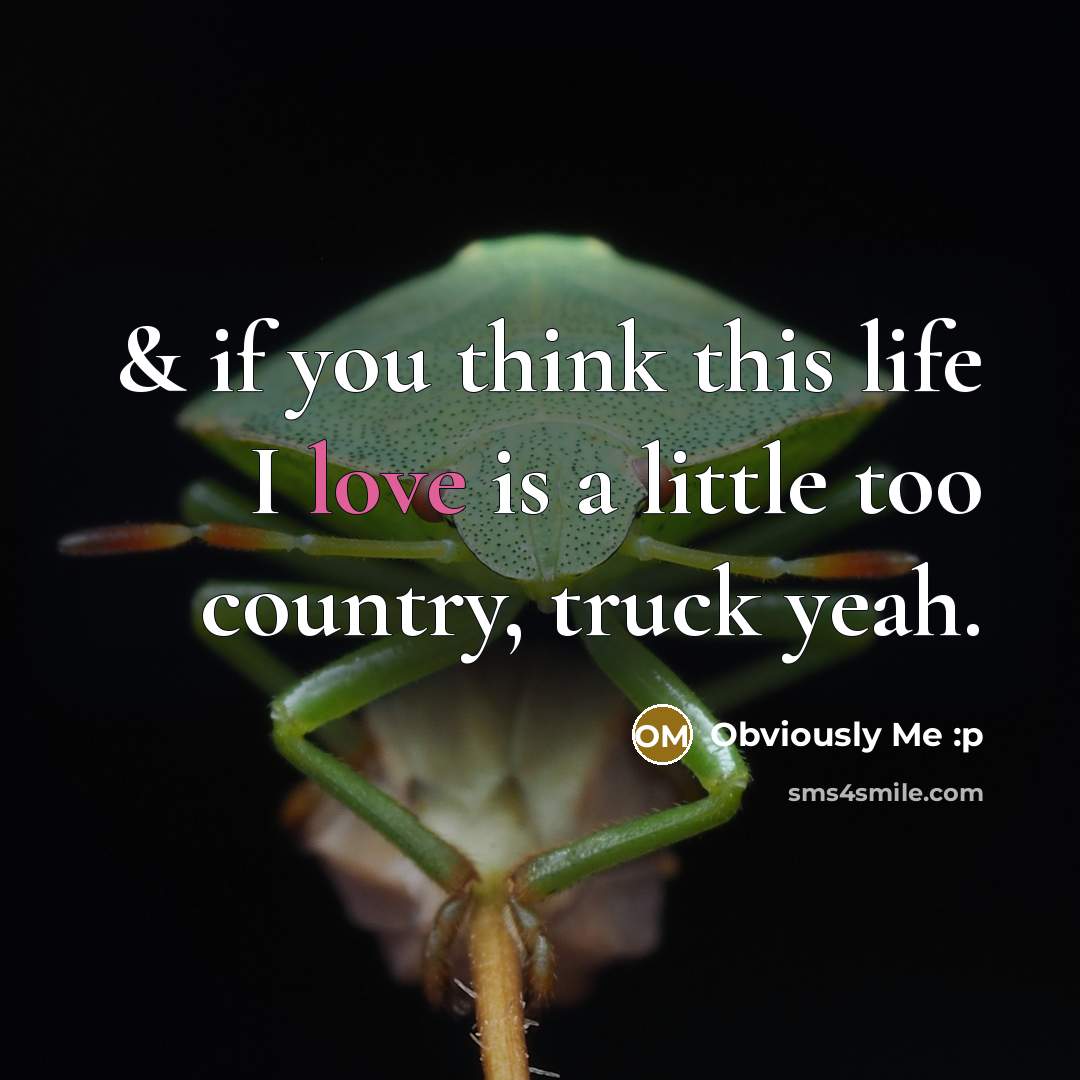 “& if you think this life I love is a…” quote by Obviously Me :p