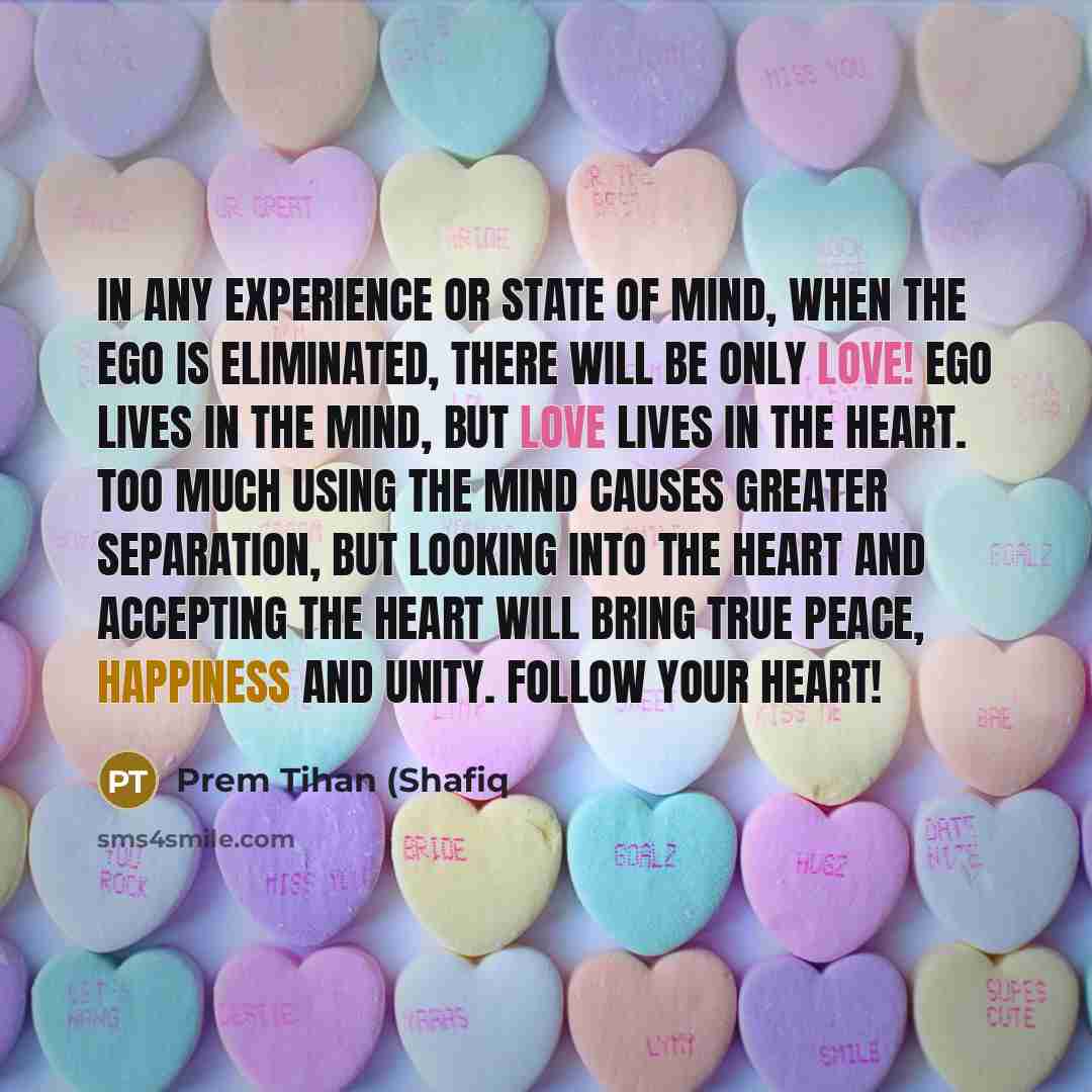 “In any experience or state of mind, when the ego…” quote by Prem Tihan (Shafiq