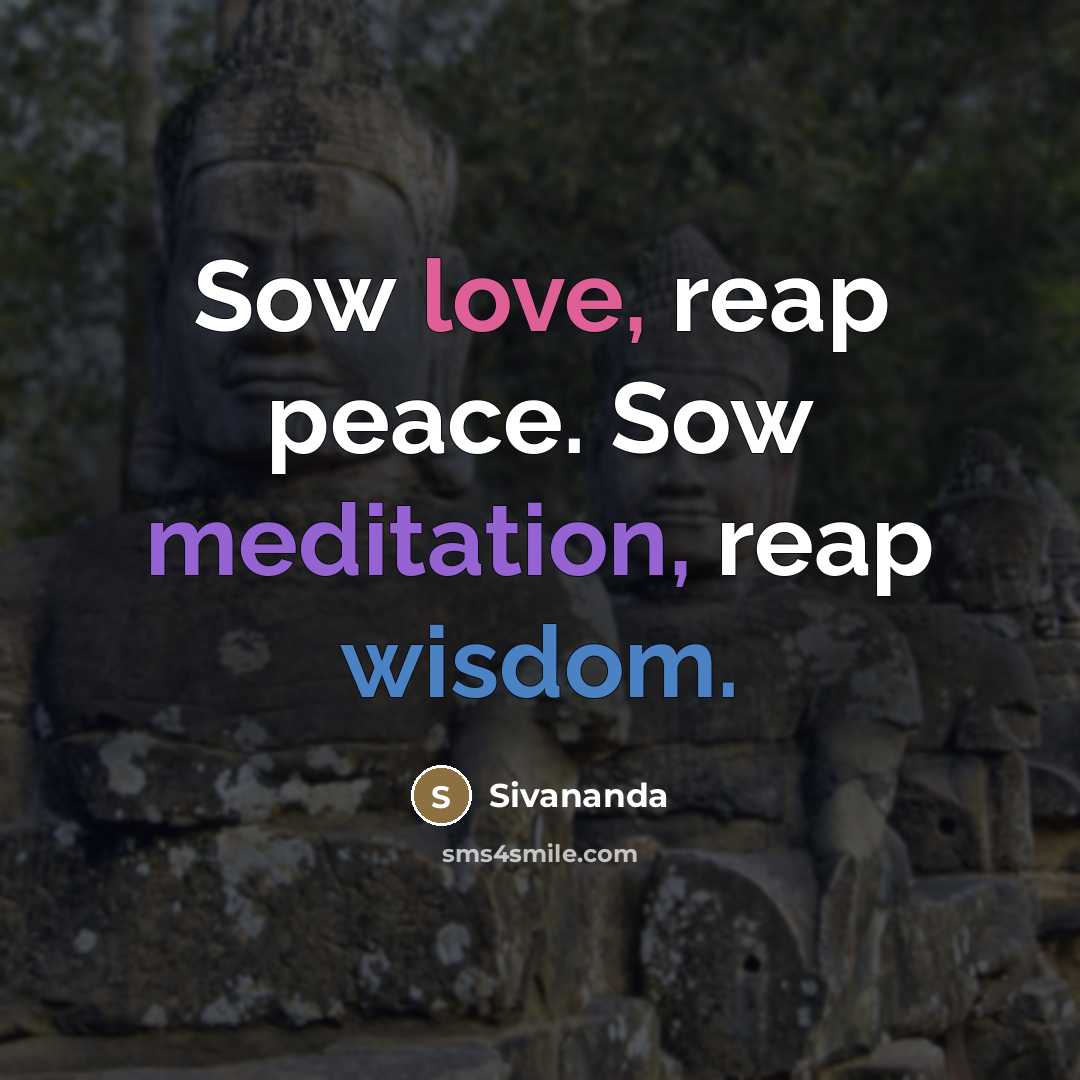 “Sow love, reap peace. Sow meditation, reap wisdom.…” quote by Sivananda