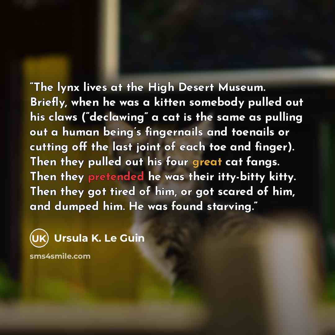 “The lynx lives at the High Desert Museum. Briefly, when he was a kitten somebody pulled out his claws (“declawing” a cat is the same as pulling out a human being’s fingernails and toenails or cutting off the last joint of each toe and finger). Then they pulled out his four great cat fangs. Then…” quote by Ursula K. Le Guin