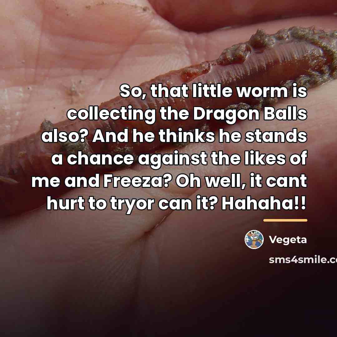 “So, that little worm is collecting the Dragon Balls also?…” quote by Vegeta