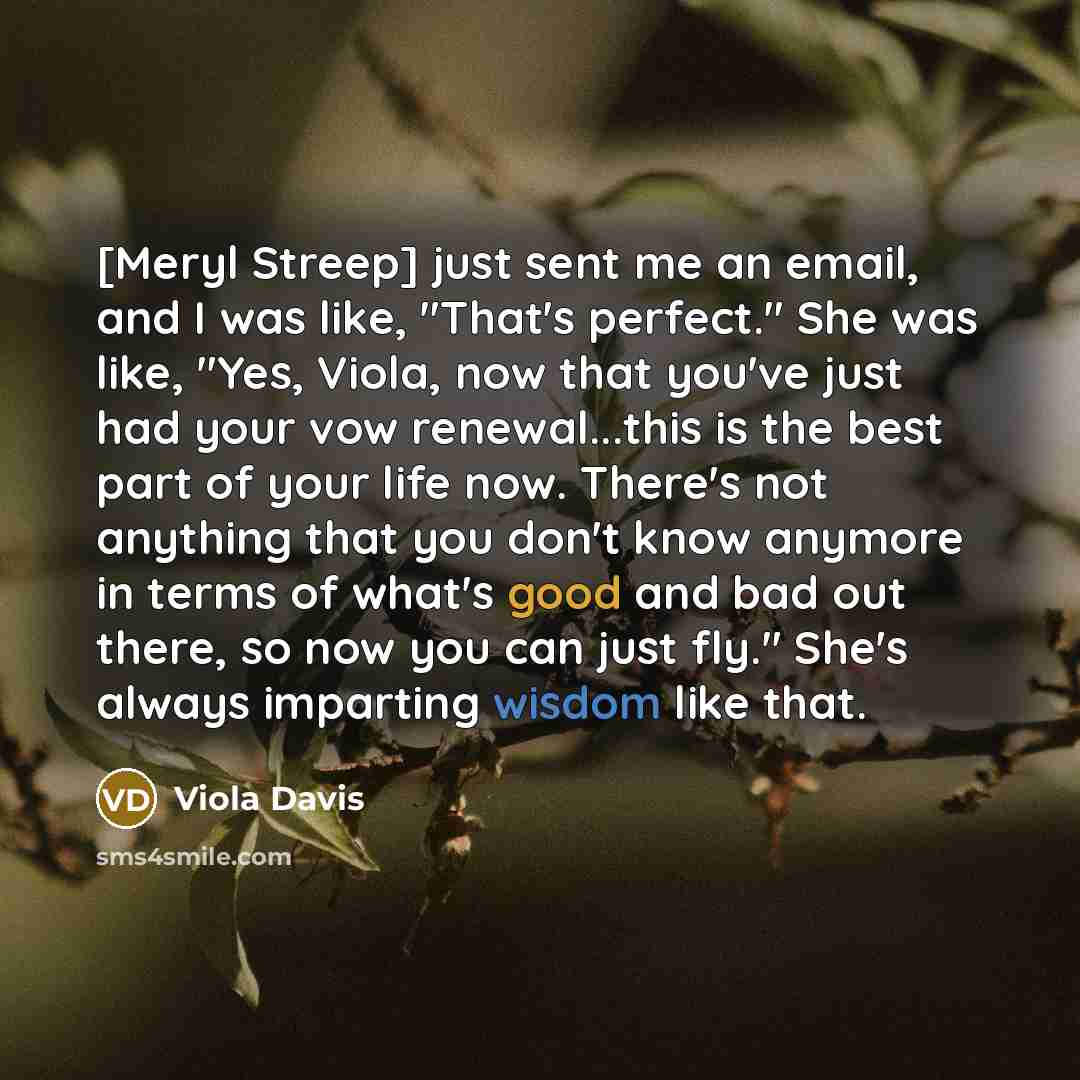 “[Meryl Streep] just sent me an email, and I was…” quote by Viola Davis