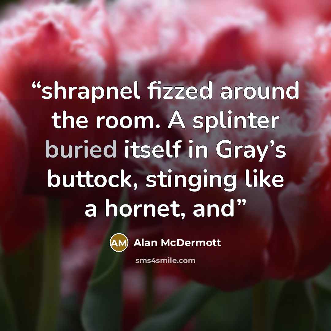 “shrapnel fizzed around the room. A splinter buried itself in Gray’s buttock, stinging like a hornet, and” quote by Alan McDermott