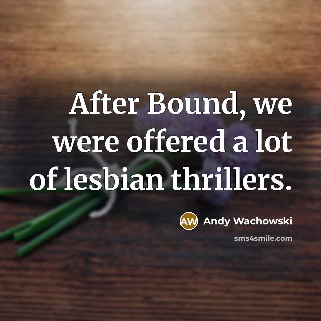 “After Bound, we were offered a lot of lesbian thrillers.…” quote by Andy Wachowski