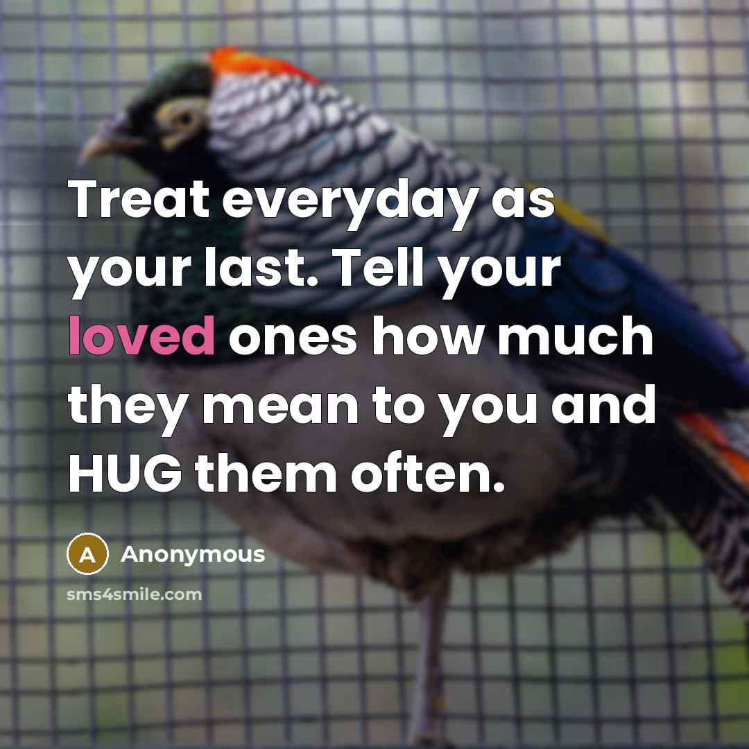 “Treat everyday as your last. Tell your loved ones how…” quote by Anonymous