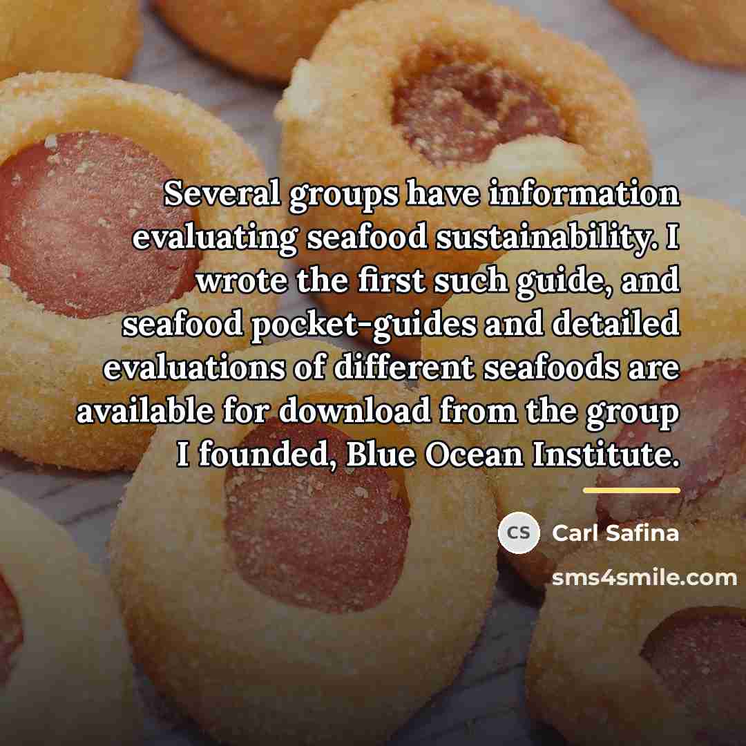 “Several groups have information evaluating seafood sustainability. I wrote the…” quote by Carl Safina