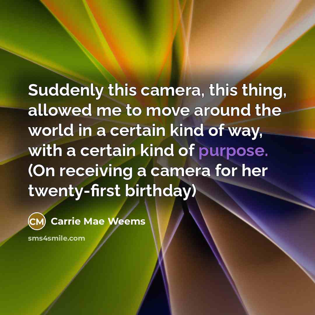 “Suddenly this camera, this thing, allowed me to move around…” quote by Carrie Mae Weems