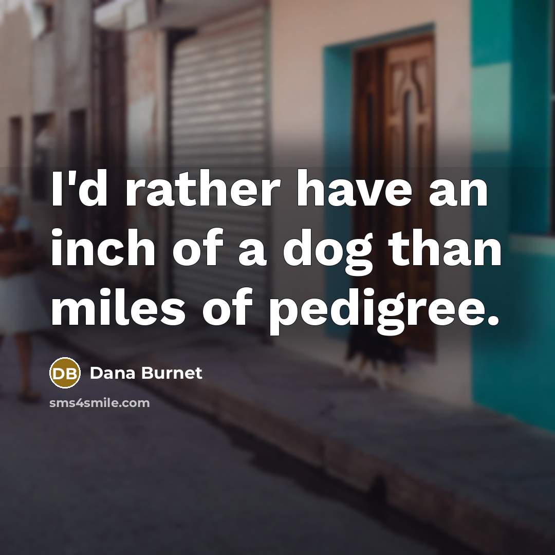 “I'd rather have an inch of a dog than miles…” quote by Dana Burnet