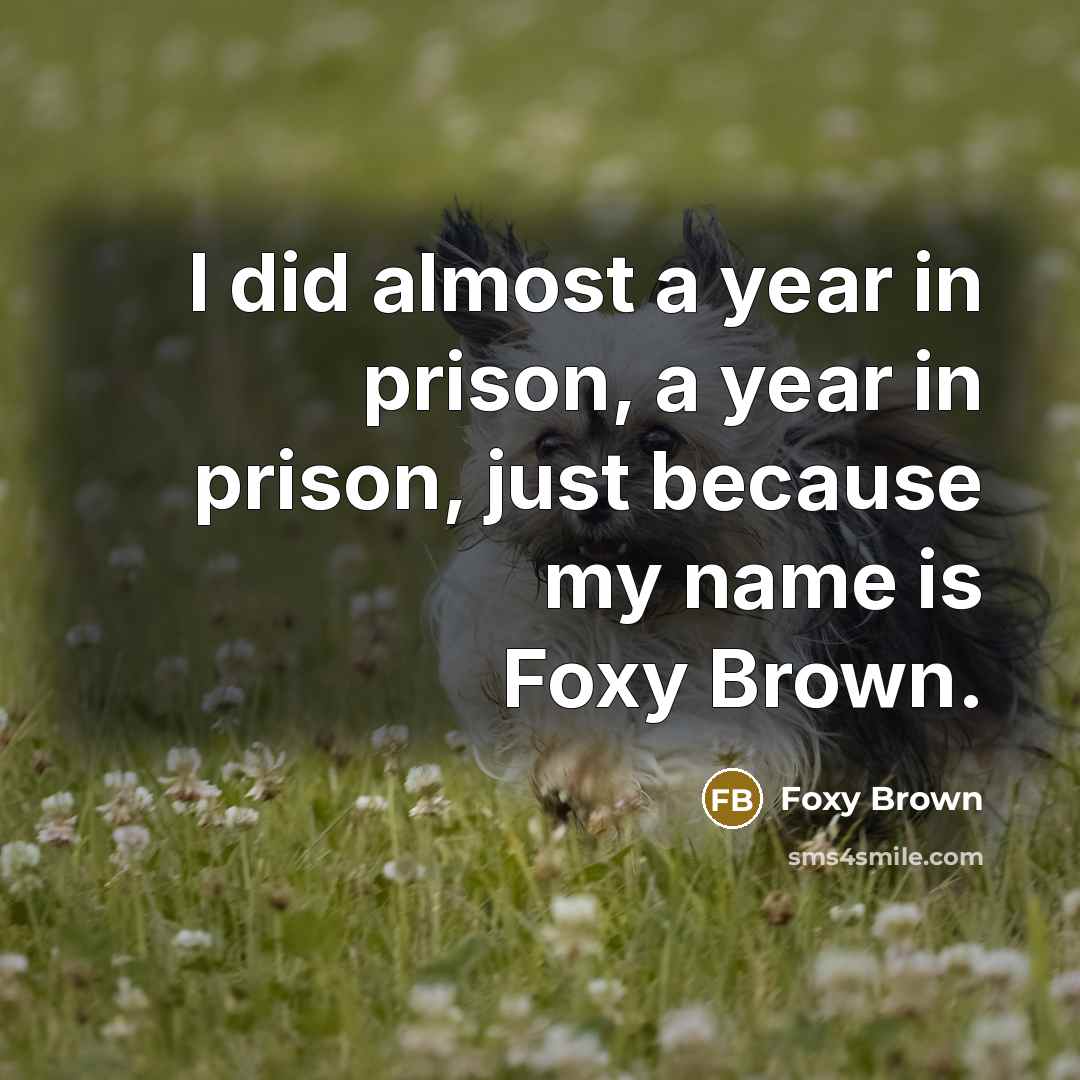 “I did almost a year in prison, a year in…” quote by Foxy Brown