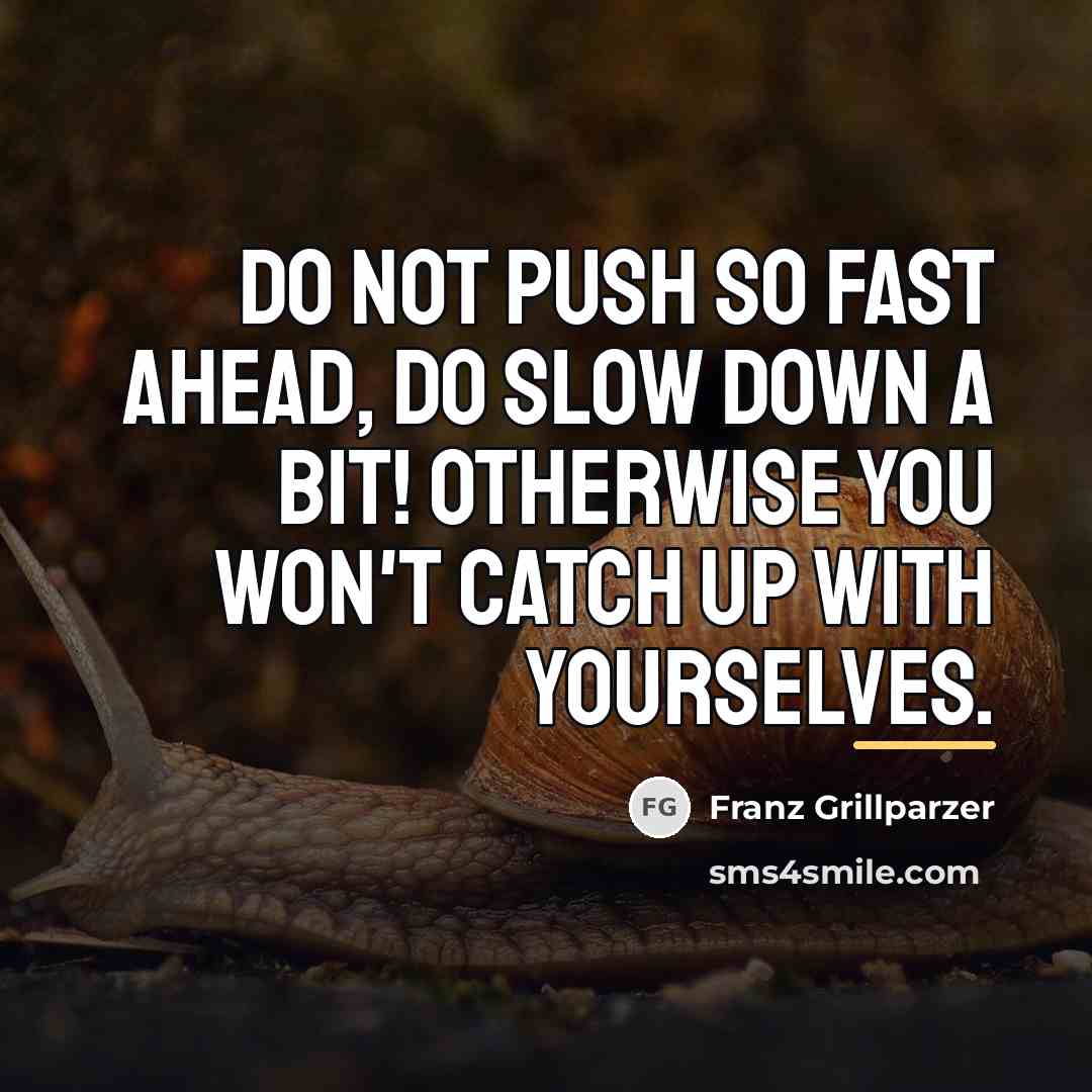 “Do not push so fast ahead, do slow down a…” quote by Franz Grillparzer