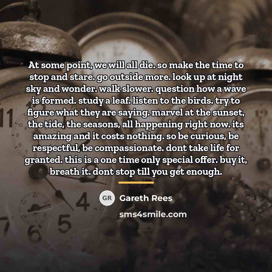 “At some point, we will all die. so make the…” quote by Gareth Rees