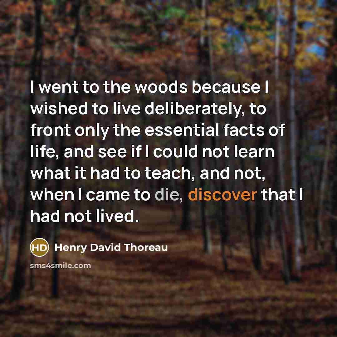 “I went to the woods because I wished to live…” quote by Henry David Thoreau