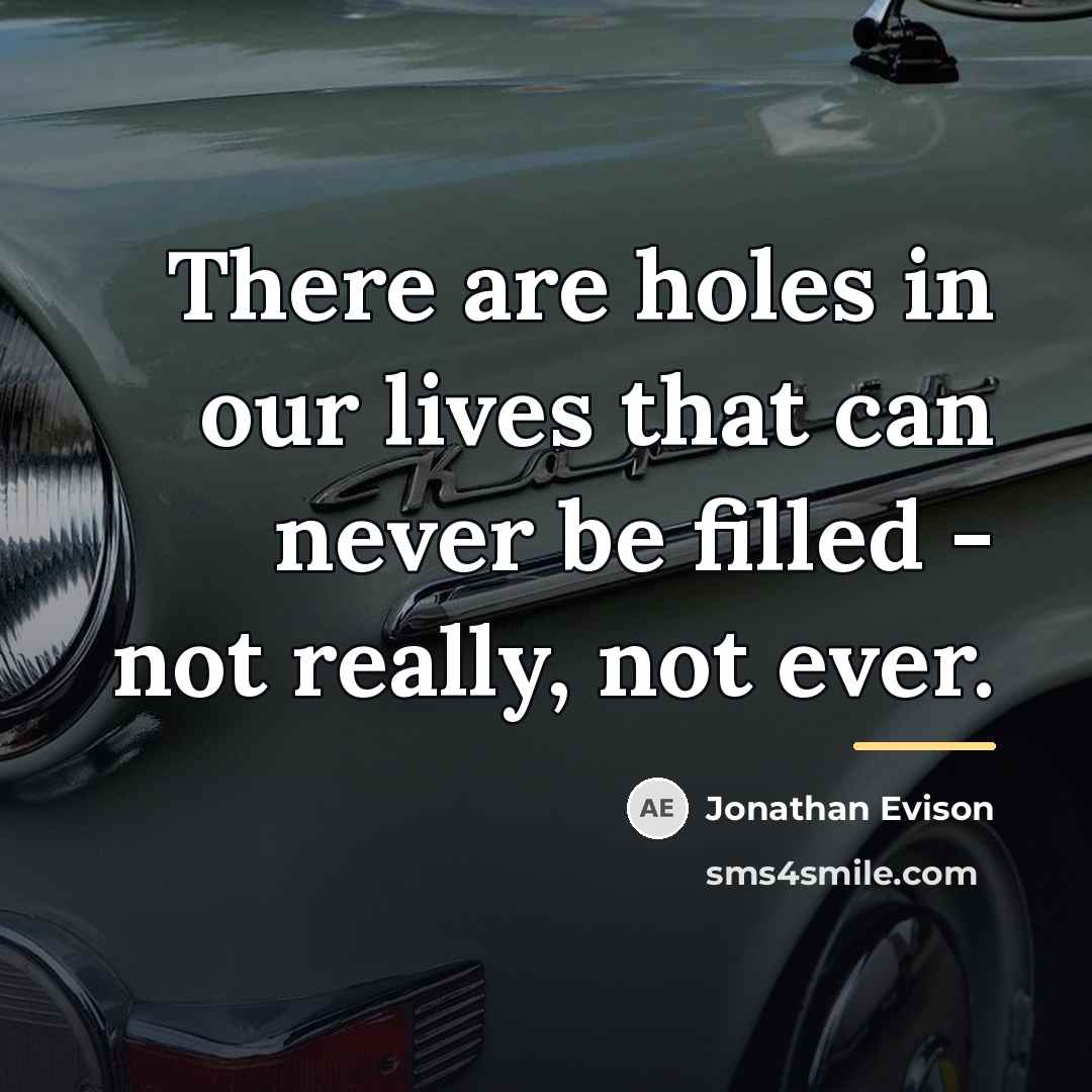 “There are holes in our lives that can never be…” quote by Jonathan Evison