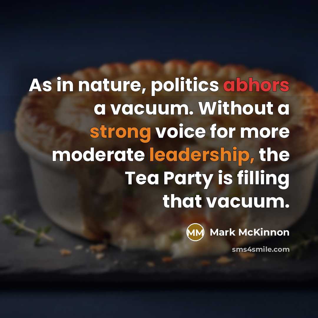 “As in nature, politics abhors a vacuum. Without a strong…” quote by Mark McKinnon