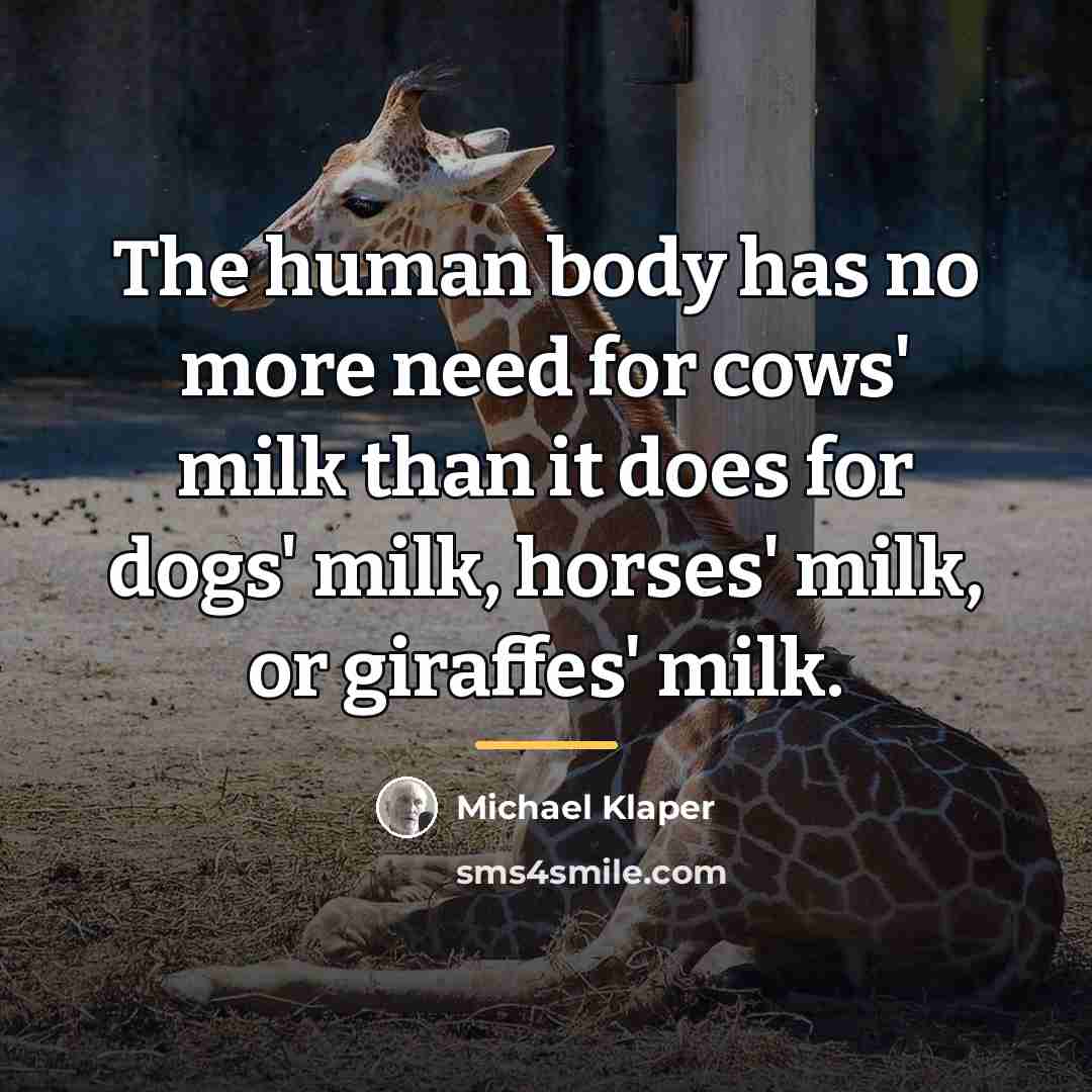 “The human body has no more need for cows' milk…” quote by Michael Klaper