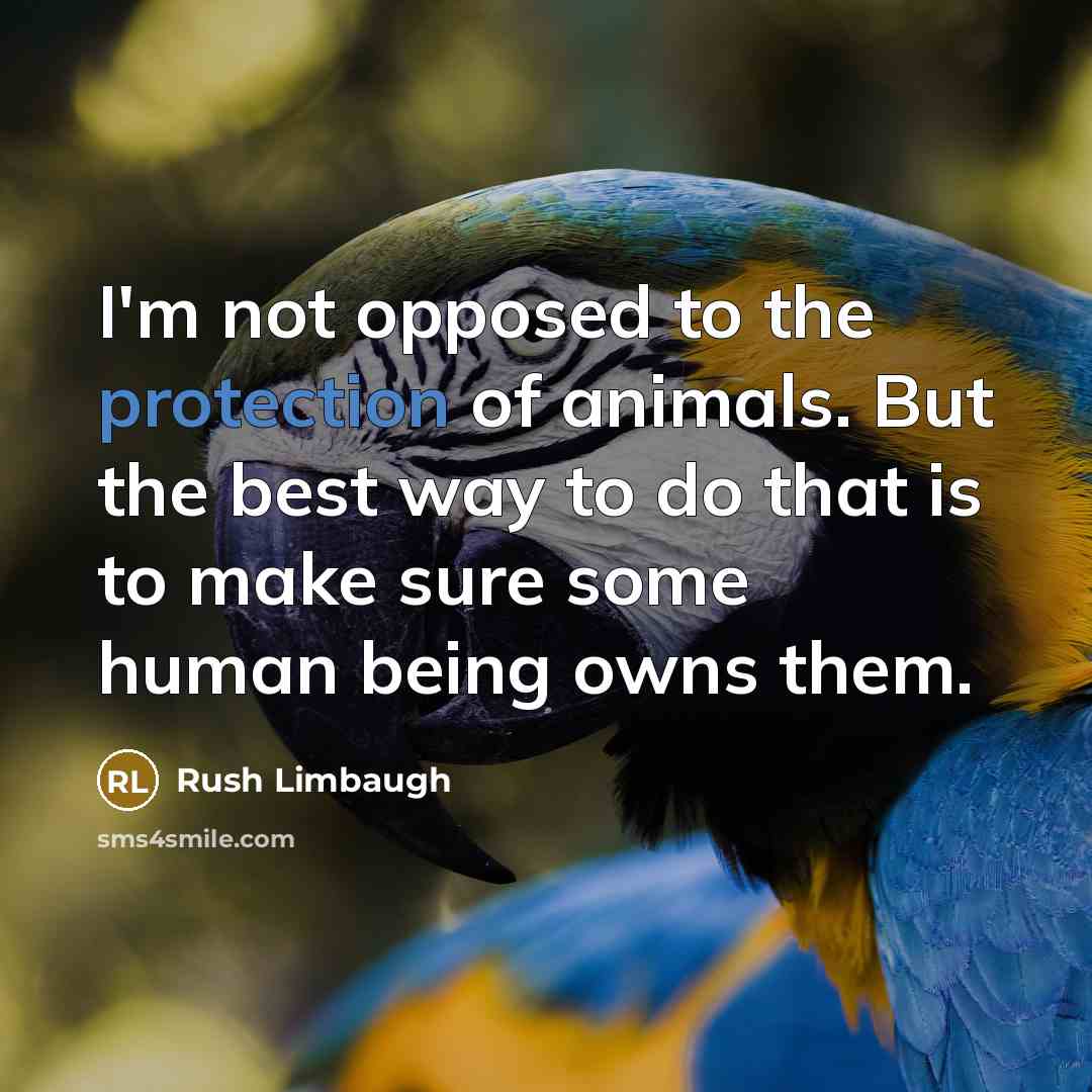 “I'm not opposed to the protection of animals. But the…” quote by Rush Limbaugh