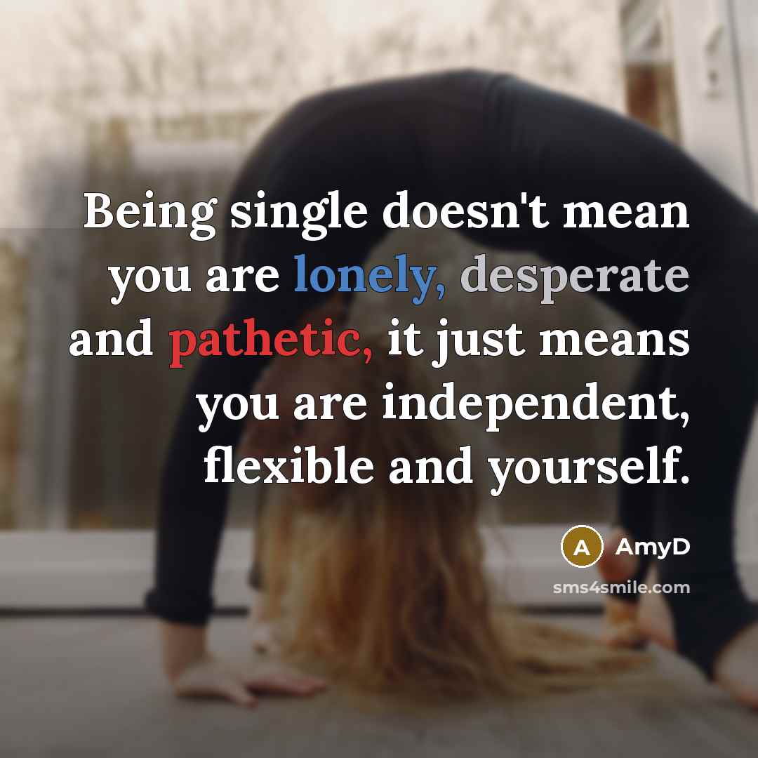 “Being single doesn't mean you are lonely, desperate and pathetic,…” quote by AmyD