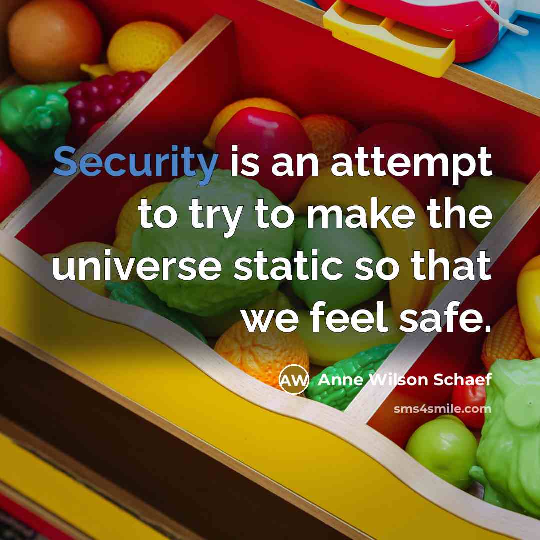 “Security is an attempt to try to make the universe…” quote by Anne Wilson Schaef