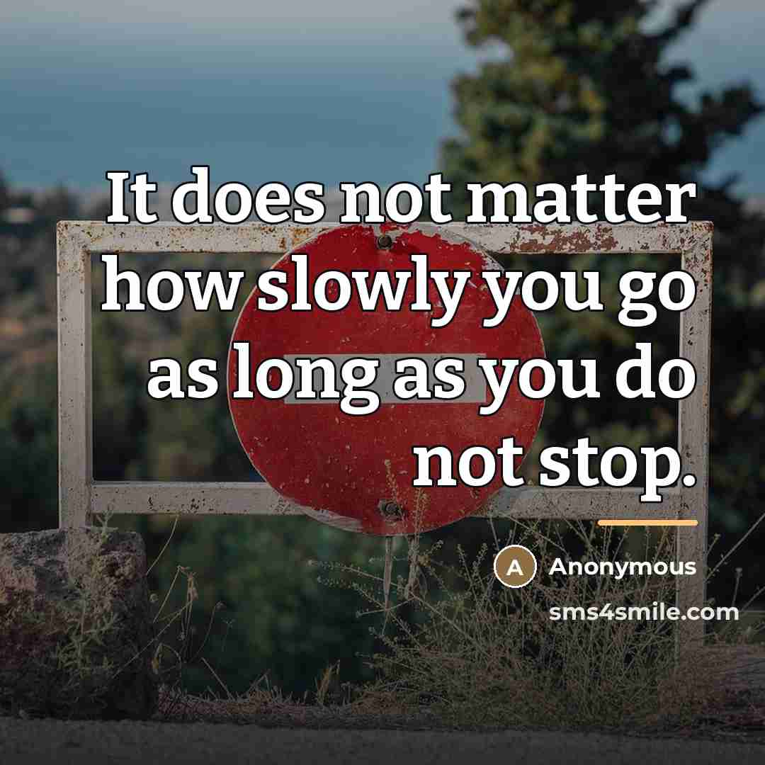 “It does not matter how slowly you go as long…” quote by Anonymous