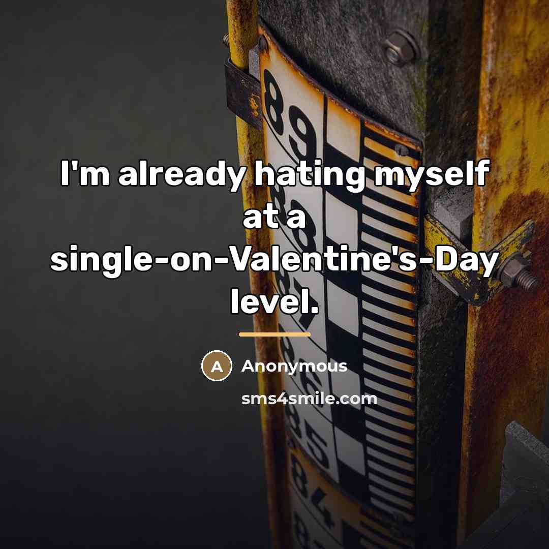 “I'm already hating myself at a single-on-Valentine's-Day level.…” quote by Anonymous