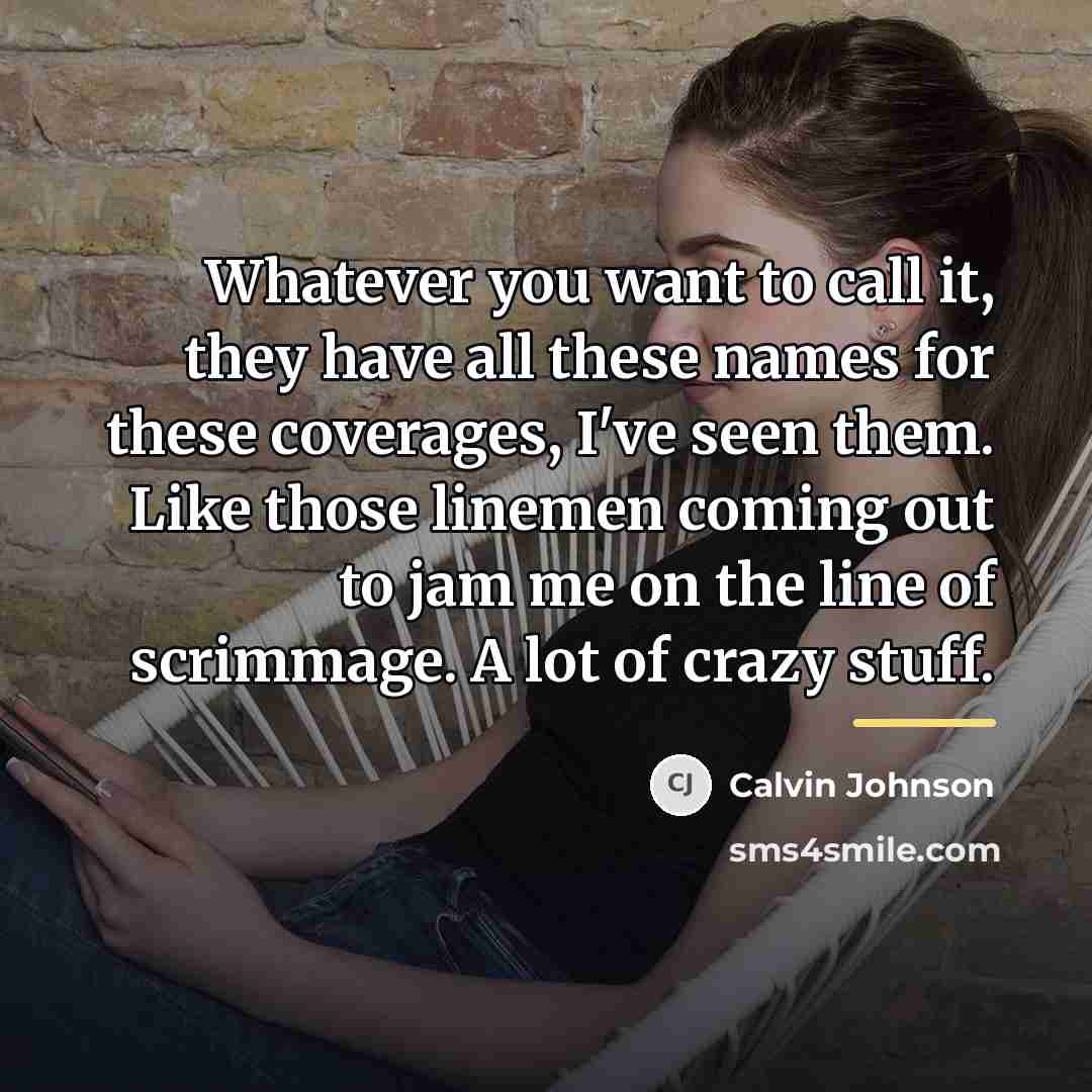 “Whatever you want to call it, they have all these…” quote by Calvin Johnson