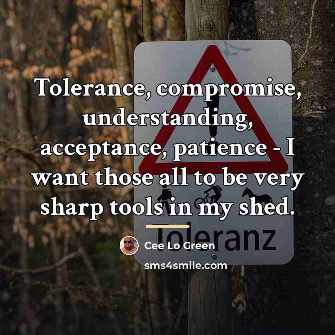 “Tolerance, compromise, understanding, acceptance, patience - I want those all…” quote by Cee Lo Green