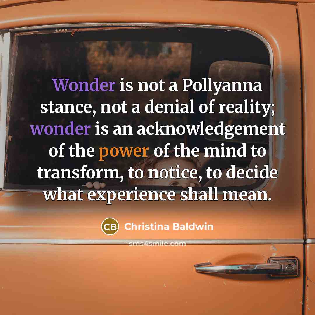 “Wonder is not a Pollyanna stance, not a denial of…” quote by Christina Baldwin
