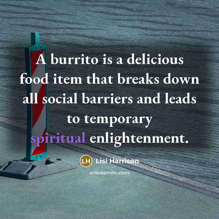 “A burrito is a delicious food item that breaks down…” quote by Lisi Harrison