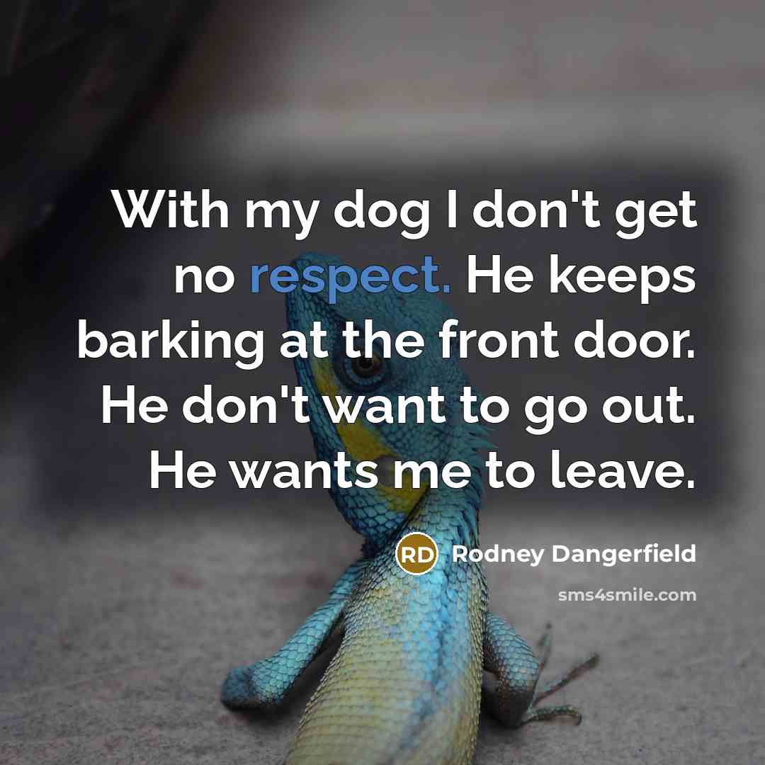 “With my dog I don't get no respect. He keeps barking at the front door. He don't want to go out. He wants me to leave.” quote by Rodney Dangerfield