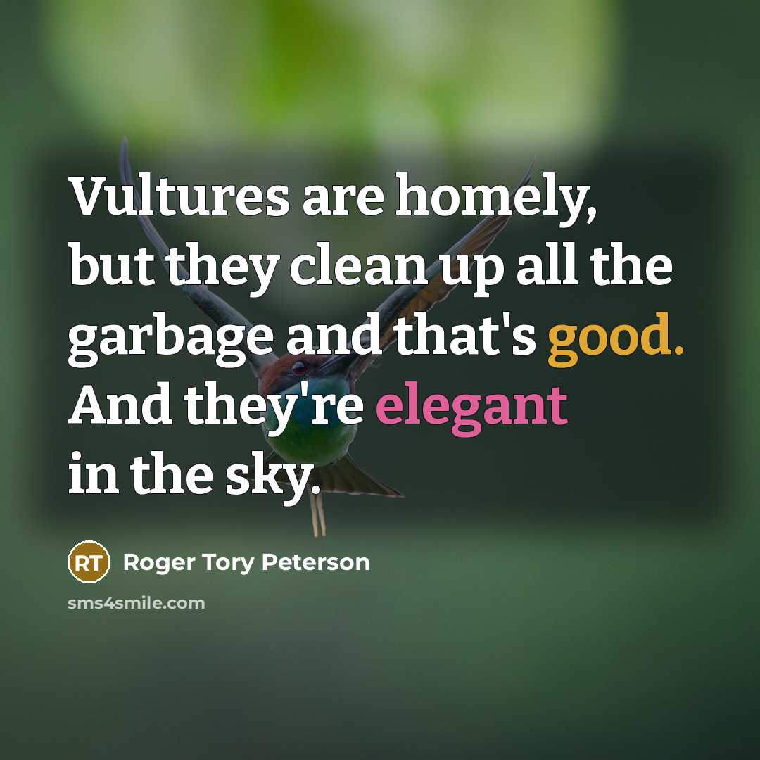 “Vultures are homely, but they clean up all the garbage…” quote by Roger Tory Peterson